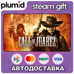 Call of Juarez Steam Gift / Россия   МИР / АВТО