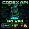 [24/7] Codex OpenAI/ChatGpt — ключ   Base URL, GPT-5.5 / other, без VPN