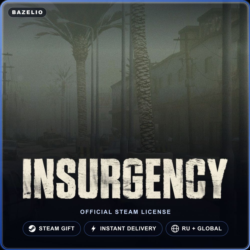 Insurgency (Steam Gift) · РФ и весь мир · Автодоставка 24/7