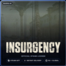 Insurgency (Steam Gift) · РФ и весь мир · Автодоставка 24/7