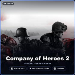 Company of Heroes 2 (Steam Gift) · Весь мир · Автодоставка 24/7
