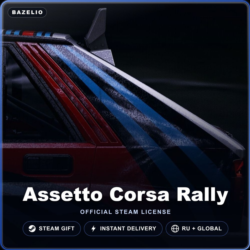 Assetto Corsa Rally (Steam Gift) · РФ и весь мир · Автодоставка 24/7