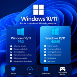 Windows 10/11 PRO/HOME Microsoft