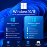 Windows 10/11 PRO/HOME Microsoft