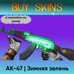AK-47 | Зимняя зелень (4 наклейки на скине)