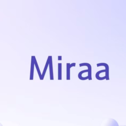 Пополнение членства в профессиональной версии miraa