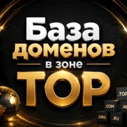 База доменов в зоне TOP 2026  ( Август )