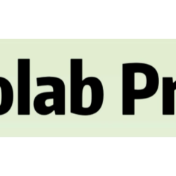 Подписка на членство в Colab Pro Pro /SD GPU Программирование вычислительного блока T