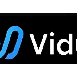 Эксклюзивное пополнение и обновление готовых продуктов для членов Vidu/безопасно и до
