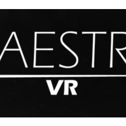 Maestro VR Steam | GLOBAL | Моментальная выдача
