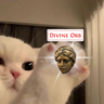 POE 2 Divine Orb | Божественная сфера | MIN - 50 | Runes of Aldur