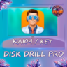 Disk Drill Pro Windows/MacOS ключ Бессрочно