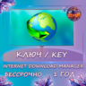 Internet Download Manager Windows 1 год/бессчроно