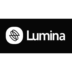 Подписка Lumina AI (BytePlus)   пополнение счета