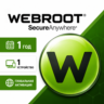 Webroot SecureAnywhere AntiVirus 1 год/1 шт.