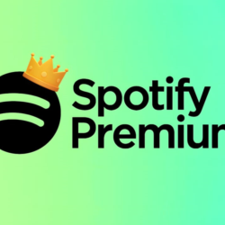 6 месяцев Spotify Premium на вашей почте