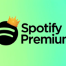 6 месяцев Spotify Premium на вашей почте