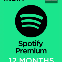 Spotify Premium Индия - 12 mesyatsev standartnyy | 1 month platinum AI DJ