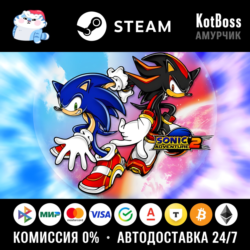 🔑 Россия   Мир | Sonic Adventure 2: Standard Edition / II | Ключ | Steam