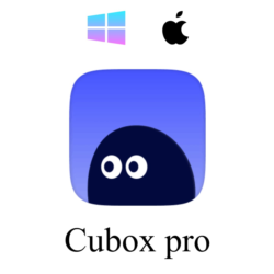 Cubox Pro AI на 1 год