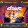 Tiny Tina&acute;s Wonderlands    STEAM Ключ | (СНГ РФ)
