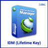 Internet Download Manager (IDM) — бессрочный ключ для 1 ПК / ключ на 1 год