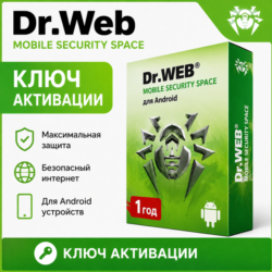 Ключ безопасности Dr.Web Security Space для ПК с Windows, срок действия 1/3 года.