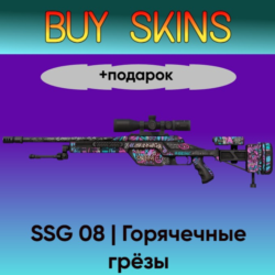 SSG 08 | Горячечные грёзы  подарок - отправка трейдом