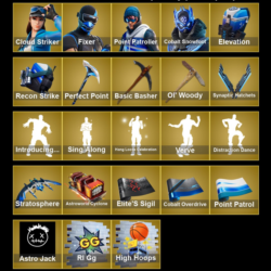 Мгновенный доступ • FN (все платформы) • 122 skins • 250 VB • Полный доступ