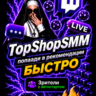Зрители Twitch   бесконечные рейды (10 минут) | Просмотры | Авторизация