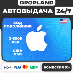 АВТОВЫДАЧА | Подарочная карта Apple Gift Card | USA | 2$-500$