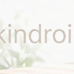 kindroid/подписка на членство/безопасно и надежно