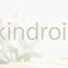 kindroid/подписка на членство/безопасно и надежно
