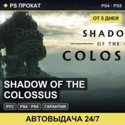 🟣 Shadow of the Colossus (PS4/PS5/RU) Аренда от 5 дней