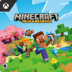 Лицензия Minecraft Java Edition с Почтой (Куплена игра. Не Подписка!)