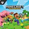 Лицензия Minecraft Java Edition с Почтой (Куплена игра. Не Подписка!)