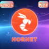 Купить код активации Hornet Premium на 1/12 месяц | Global