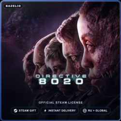 Directive 8020 (Steam Gift) · РФ и весь мир · Автодоставка 24/7