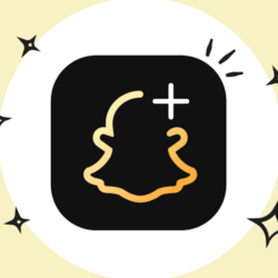 Подписка Snapchat Plus на 12 месяцев (глобальная)