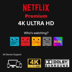 Аккаунт Netflix — 1 месяц — 1 личный профиль — Premium — Глобальный