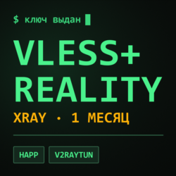 Ключ VLESS   REALITY на 1 месяц | Работает в РФ | Xray подписка | Happ v2RayTun