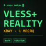 Ключ VLESS   REALITY на 1 месяц | Работает в РФ | Xray подписка | Happ v2RayTun