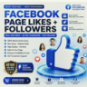Facebook — Лайки и подписчики для страницы | Реальные, без списаний | Гарантия 60 дне
