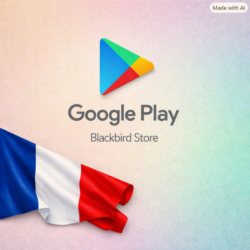 🇫🇷 Google Play Gift Card FR | €5–€500 – Аккаунт Франция