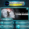 Rise of the Tomb Raider — 20 Year Celebration *RU/BY/UA/СНГ Steam Auto