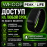 WHOOP PEAK/LIFE доступ на ваш аккаунт от 1 до 12 месяцев