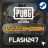 PUBG: BATTLEGROUNDS 11200 G-COINS — ключ для Steam
