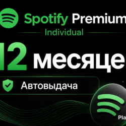 Spotify PREMIUM individual   12 месяцев