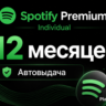 Spotify PREMIUM individual   12 месяцев