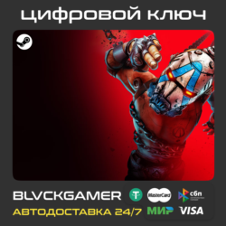 BORDERLANDS 4 STEAM (Global РФ) - Ключ